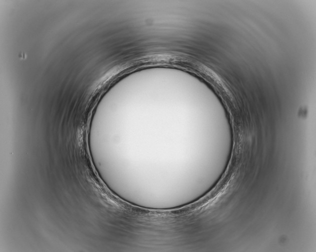 X0000094180778200710260931