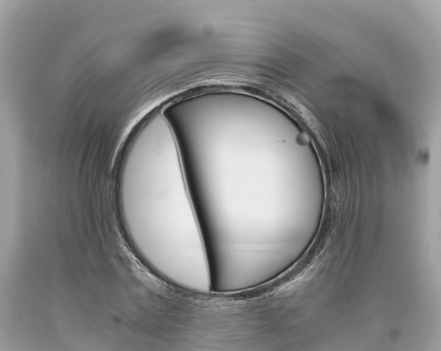 X0000094180779200710260931