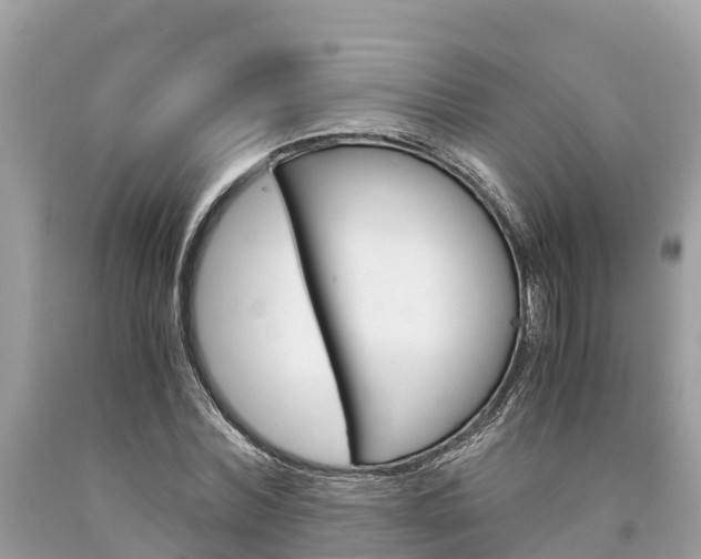 X0000094180780200710260931
