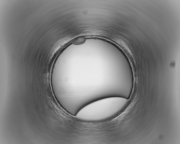 X0000094180781200710260931