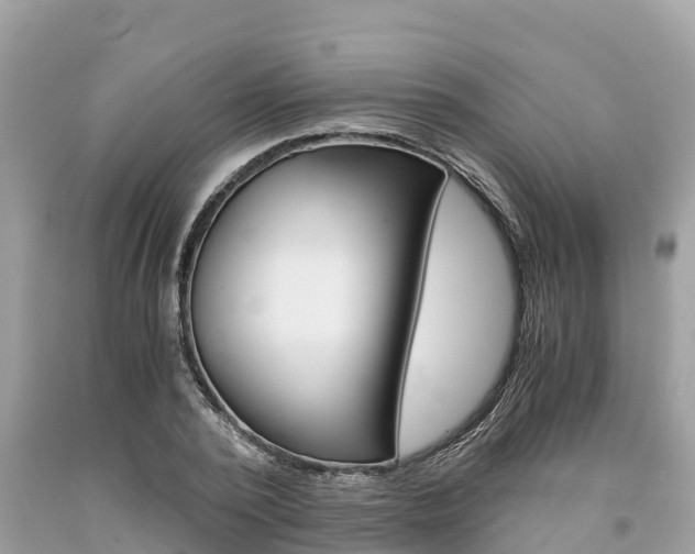 X0000094180784200710260931