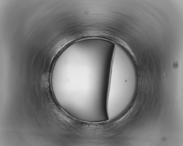 X0000094180786200710260931