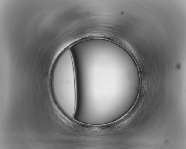 X0000094180787200710260931