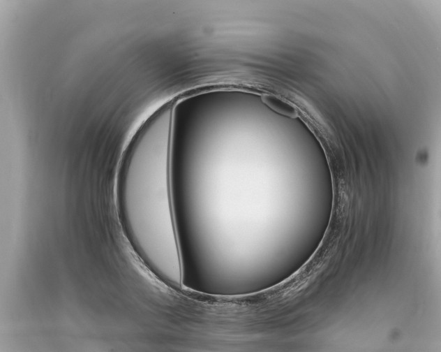 X0000094180788200710260931