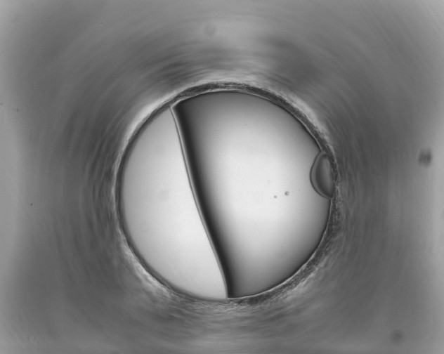X0000094180791200710260931