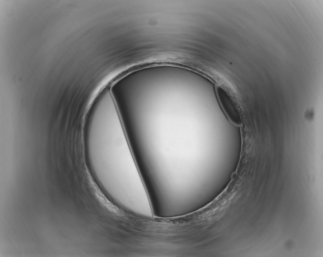 X0000094180792200710260931