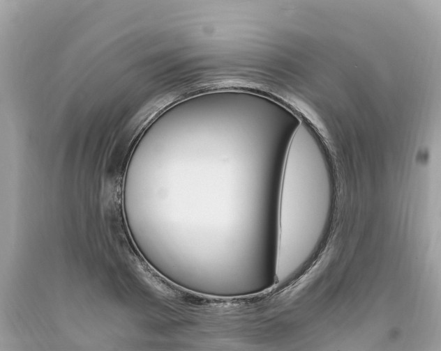 X0000094180793200710260931