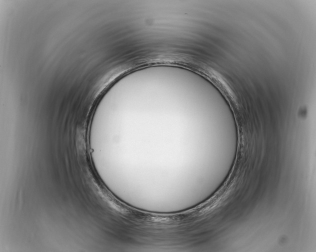 X0000094180794200710260931