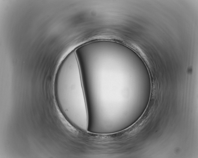 X0000094180795200710260931