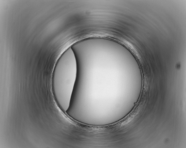 X0000094180802200710260931