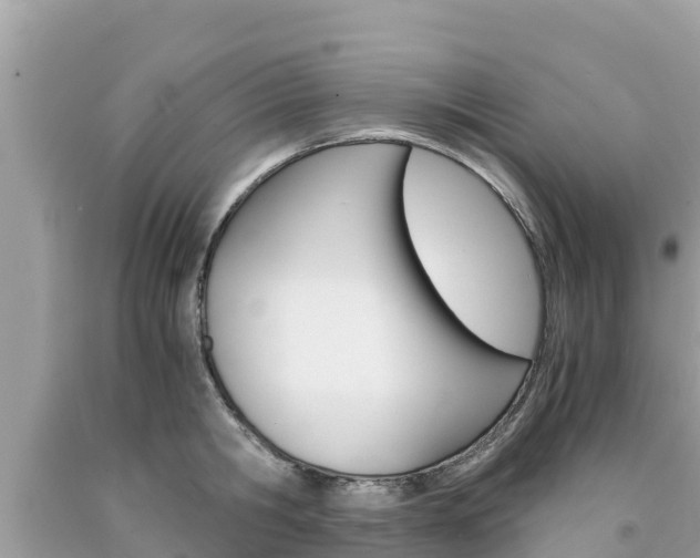 X0000094180806200710260930