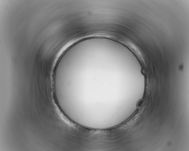 X0000094180808200710260930