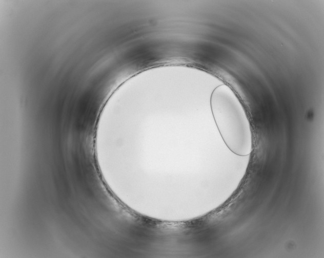 X0000094180810200710260930