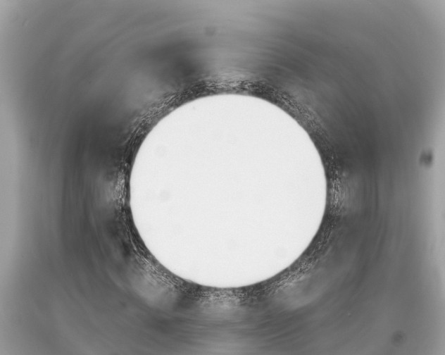 X0000094180820200710260930