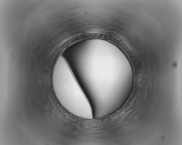 X0000094180821200710260930