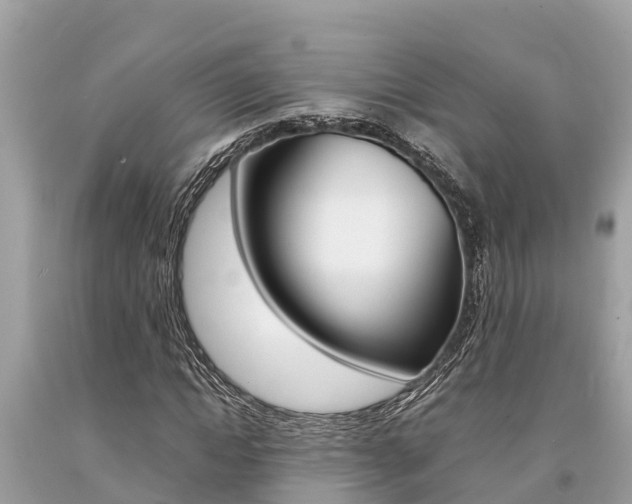 X0000094180822200710260930