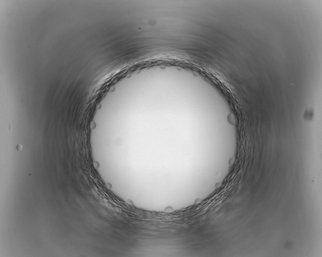 X0000094180824200710260930