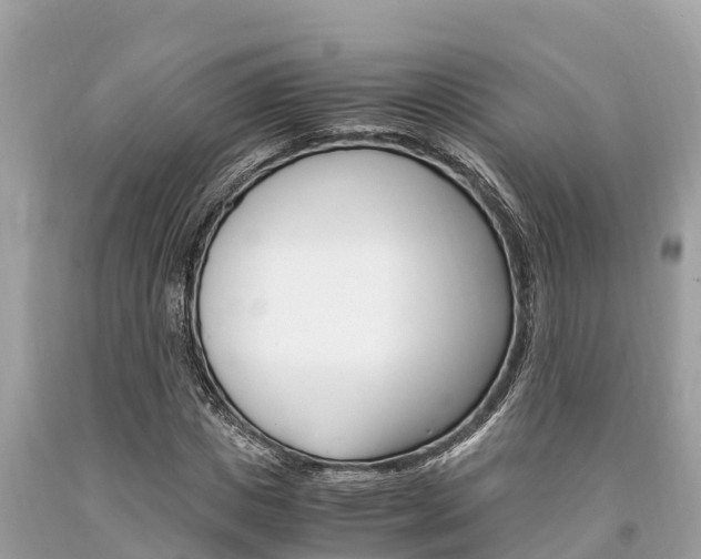 X0000094180825200710260930