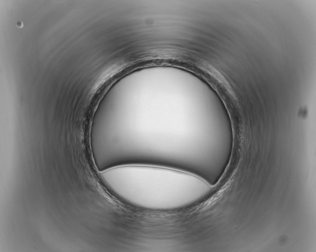 X0000094180826200710260930