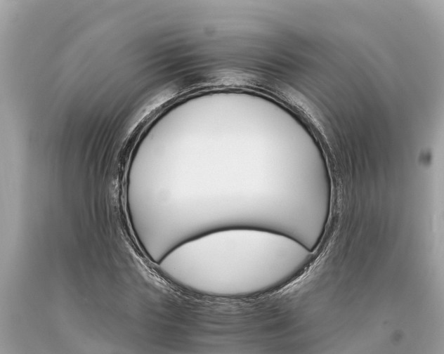 X0000094180827200710260930