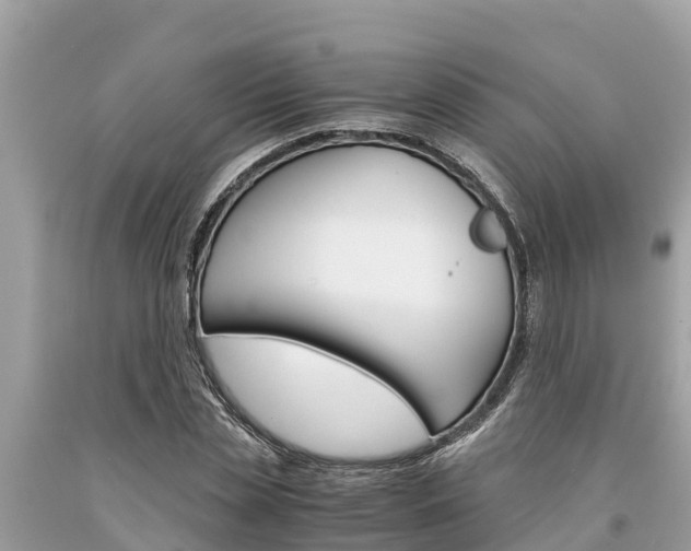 X0000094180829200710260930