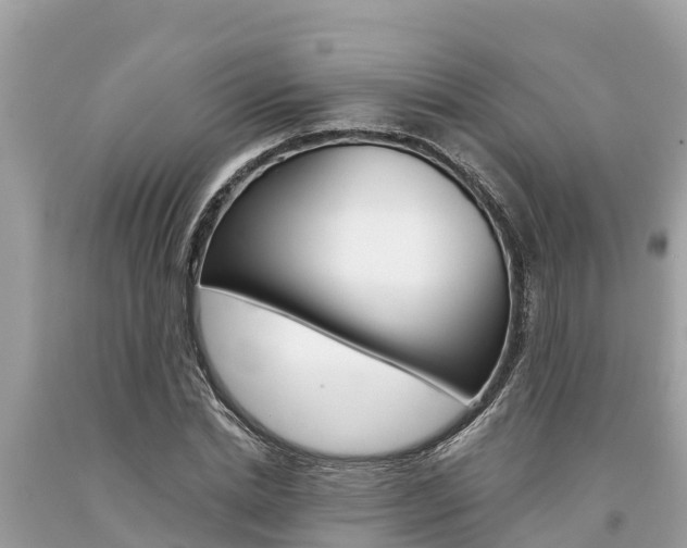 X0000094180830200710260930