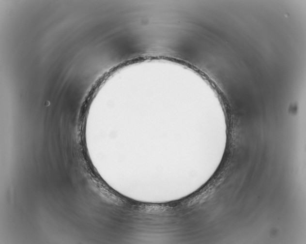 X0000094180832200710260930