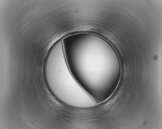 X0000094180834200710260930