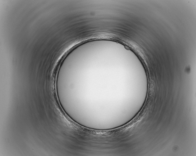 X0000094180835200710260930
