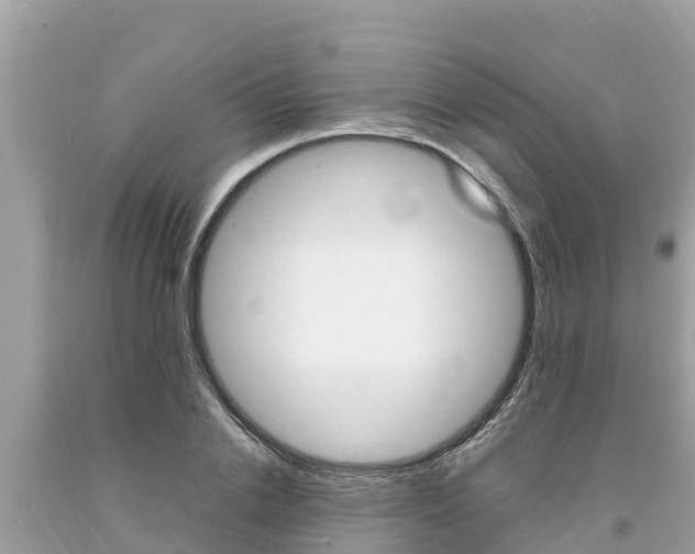 X0000094180838200710260930