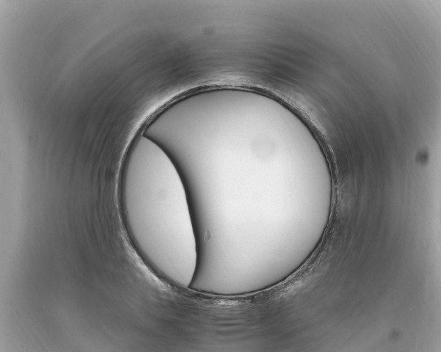 X0000094180839200710260930