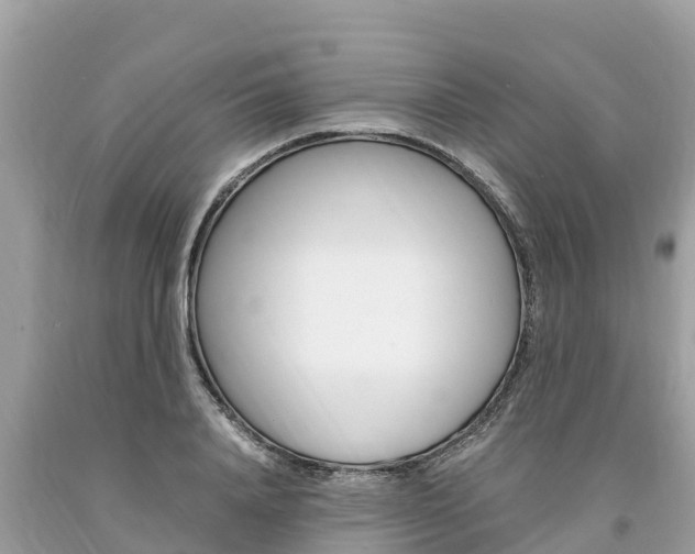 X0000094180840200710260930