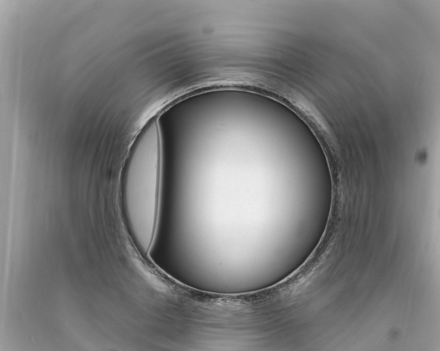 X0000094180842200710260930