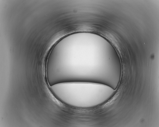 X0000094180843200710260930