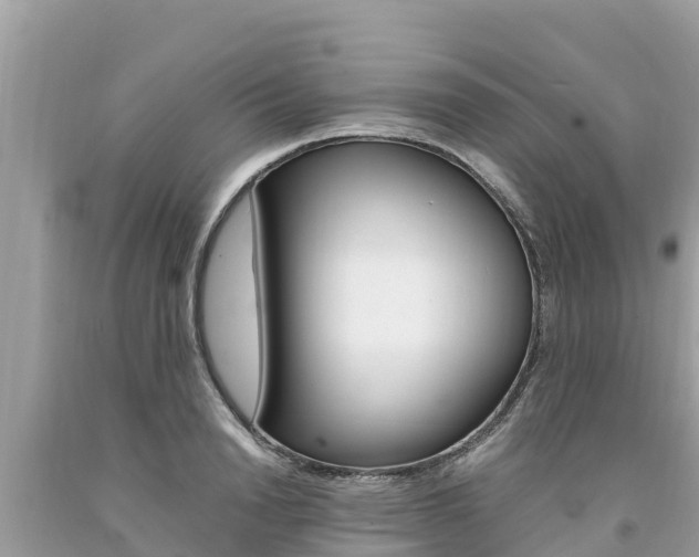X0000094180846200710260930