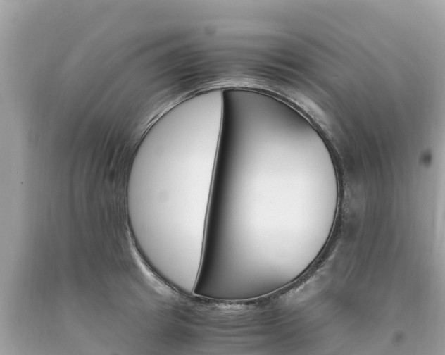 X0000094180849200710260930