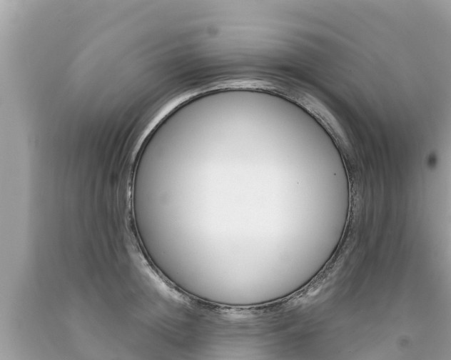 X0000094180852200710260930