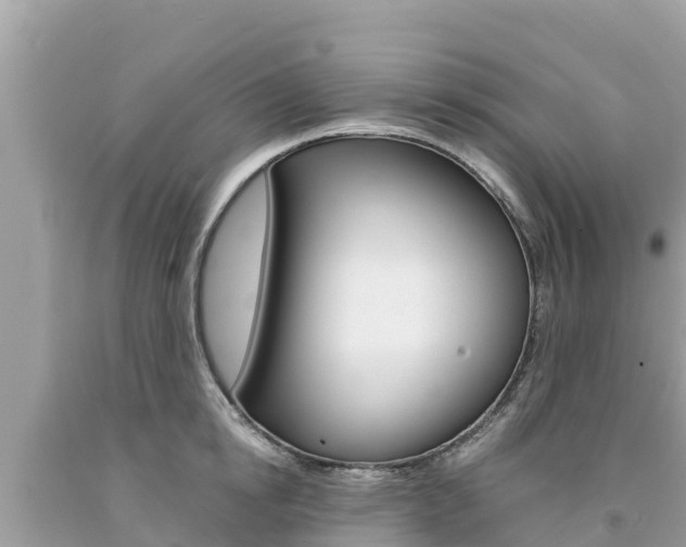 X0000094180854200710260930