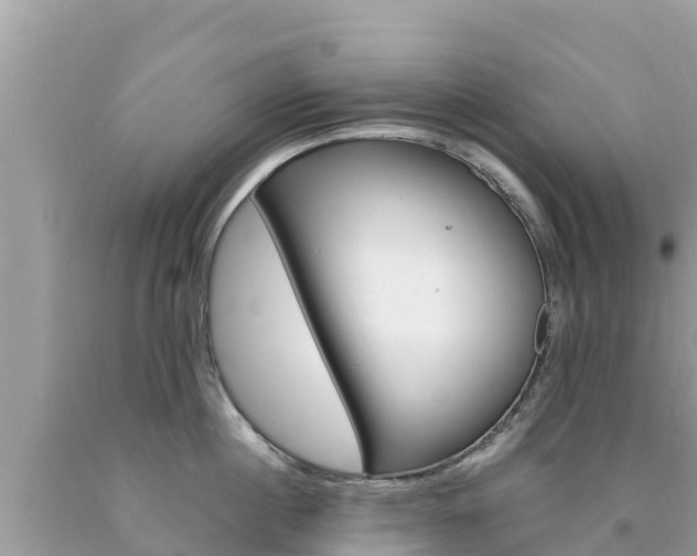 X0000094180860200710260930
