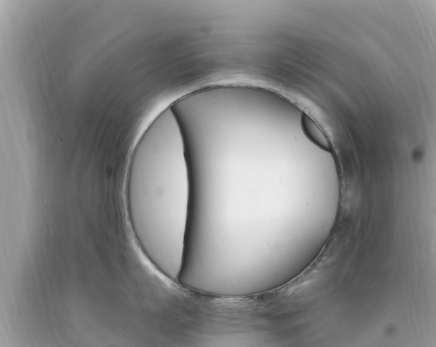 X0000094180863200710260930