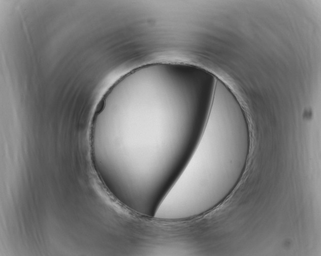 X0000094180864200710260930