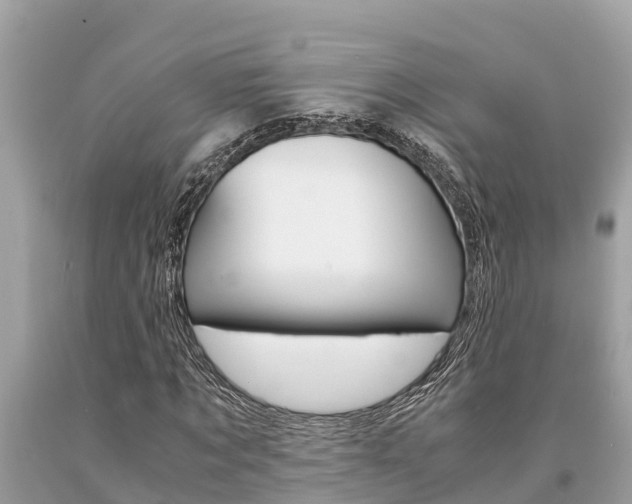 X0000094180869200710260930
