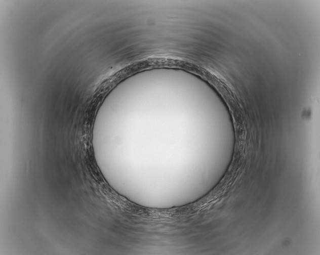 X0000094180870200710260930