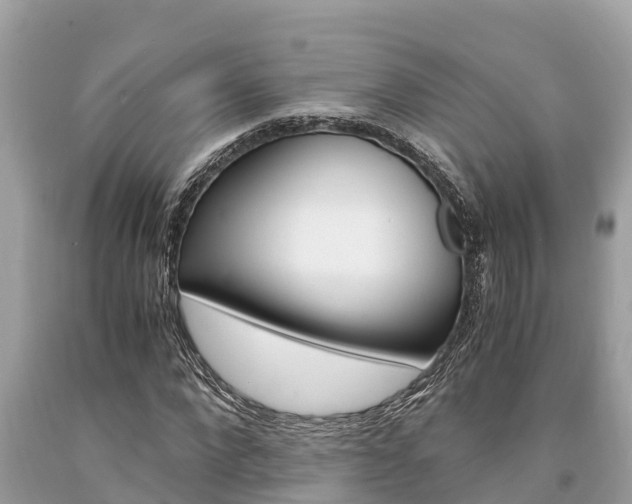 X0000094180872200710260930