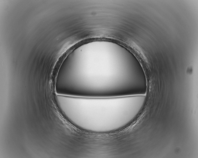 X0000094180876200710260929