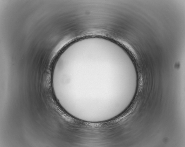 X0000094180878200710260929