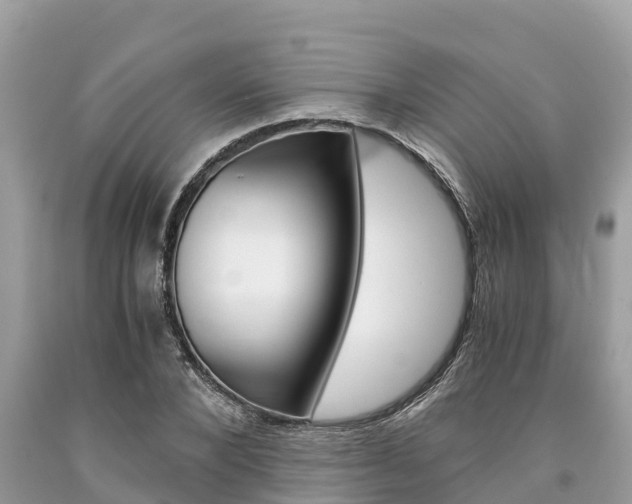 X0000094180880200710260929