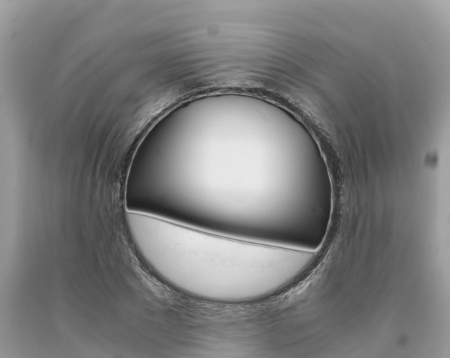 X0000094180881200710260929