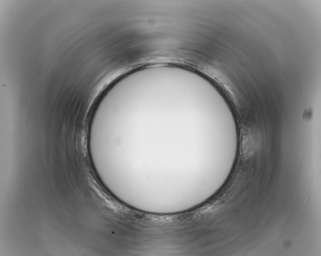 X0000094180882200710260929