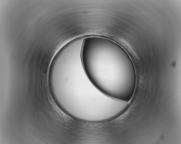 X0000094180884200710260929